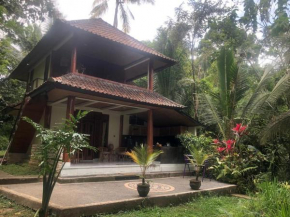Nice house, quiet place overlooking rice fields